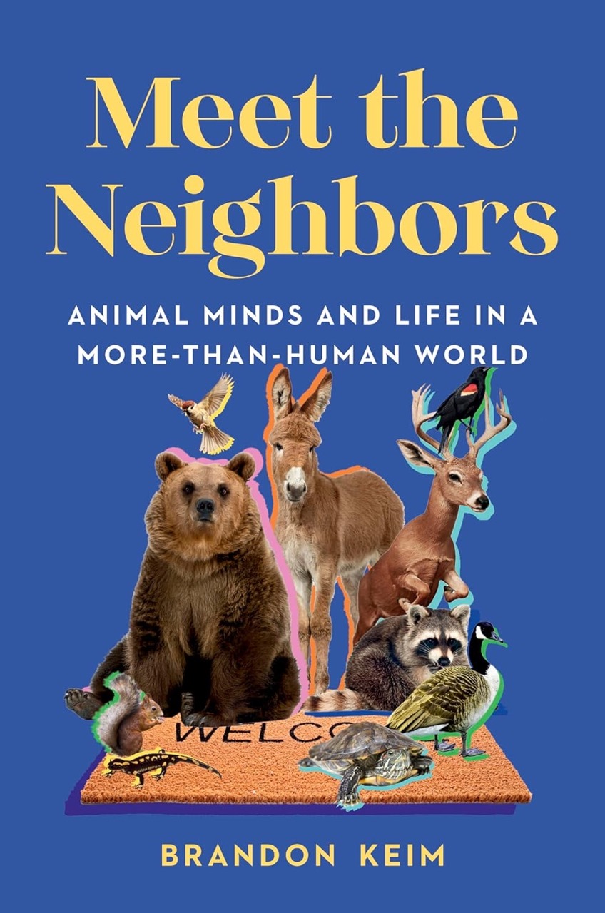 keim meet the neighbors